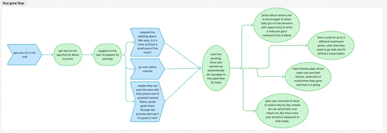 user flow ideation.webp